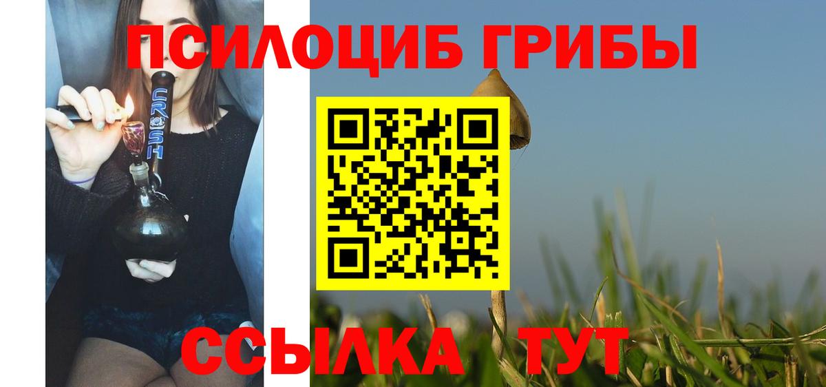Белореченск  Псилоцибиновые грибы Psilocybine cubensis  Вход с VPN 